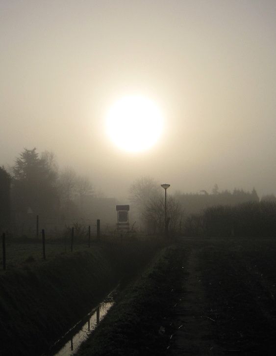 fog